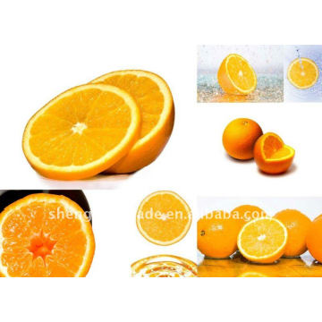 excellent Sweet fresh Orange fruits